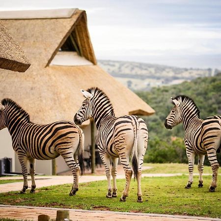 Jbay Zebra Lodge Longmore Exterior photo