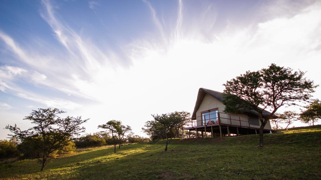 Jbay Zebra Lodge Longmore Exterior photo