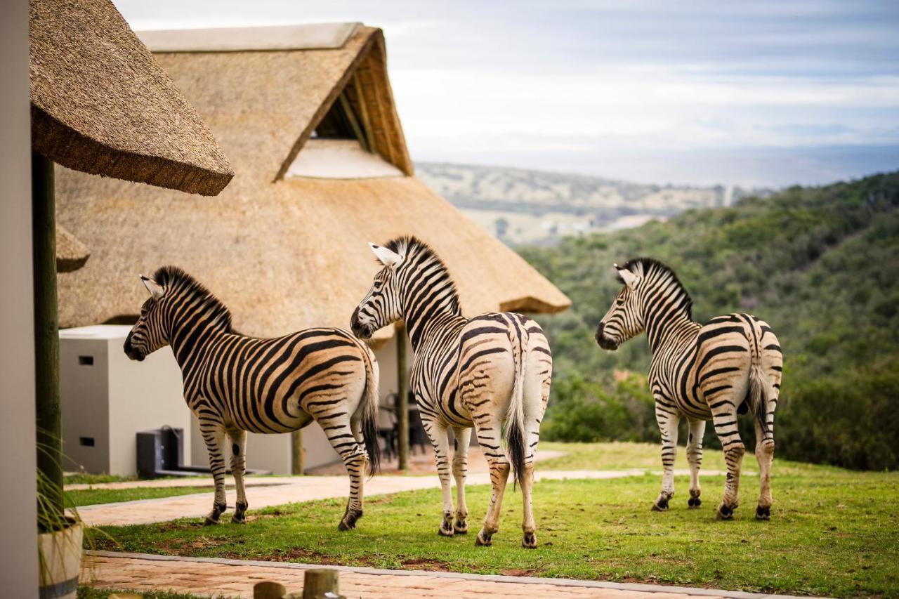 Jbay Zebra Lodge Longmore Exterior photo